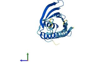 AlphaFold protein structure predicition of Mouse Recombinant Prelid2 Protein, UniprotID Q0VBB0