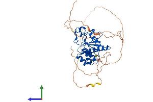 AlphaFold protein structure predicition of Human Recombinant DUSP11 Protein, UniprotID O75319