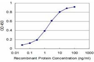 Detection limit for recombinant GST tagged ARHGEF11 is approximately 0.