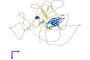 AlphaFold protein structure predicition of Mouse Recombinant Rab11fip1 Protein, UniprotID Q9D620