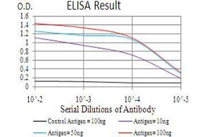 Black line: Control Antigen (100 ng), Purple line: Antigen(10 ng), Blue line: Antigen (50 ng), Red line: Antigen (100 ng),