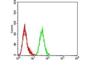 Flow cytometric analysis of Hela cells using CCNE1 mouse mAb (green) and negative control (red).