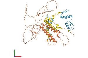 AlphaFold protein structure predicition of Human Recombinant ZNF114 Protein, UniprotID Q8NC26