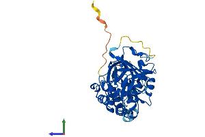 AlphaFold protein structure predicition of Mouse Recombinant Sphk1 Protein, UniprotID Q8CI15