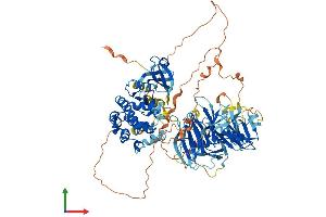 AlphaFold protein structure predicition of Human Recombinant MAP4K5 Protein, UniprotID Q9Y4K4
