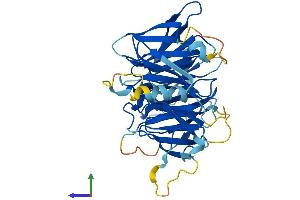 AlphaFold protein structure predicition of Human Recombinant WDR73 Protein, UniprotID Q6P4I2