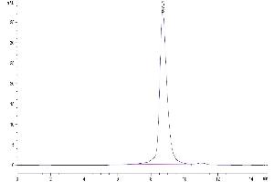 The purity of Human B7-H4 is greater than 95 % as determined by SEC-HPLC.