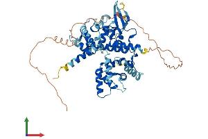AlphaFold protein structure predicition of Human Recombinant MICU1 Protein, UniprotID Q9BPX6