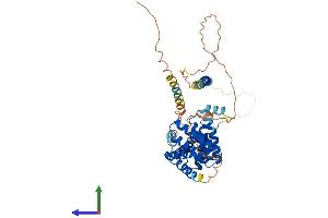 AlphaFold protein structure predicition of Human Recombinant RMDN3 Protein, UniprotID Q96TC7