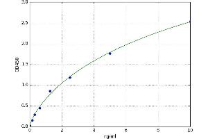 A typical standard curve