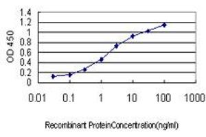 Detection limit for recombinant GST tagged C6orf139 is approximately 0.
