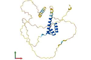 AlphaFold protein structure predicition of Human Recombinant PHOX2A Protein, UniprotID O14813