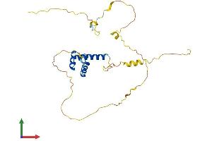 AlphaFold protein structure predicition of Mouse Recombinant Barx1 Protein, UniprotID Q9ER42