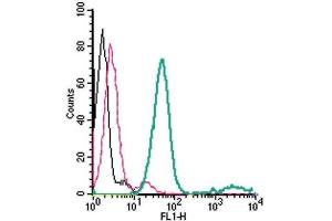 Cell surface detection of EAAT1 in live intact mouse BV-2 microglia cells: (black line) Cells.