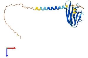 AlphaFold protein structure predicition of Mouse Recombinant Tnfsf8 Protein, UniprotID P32972