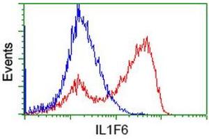 HEK293T cells transfected with either RC219328 overexpress plasmid (Red) or empty vector control plasmid (Blue) were immunostained by anti-IL1F6 antibody (ABIN2453185), and then analyzed by flow cytometry. (IL36A/IL1F6 anticorps)