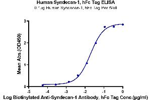Immobilized Human Syndecan-1, hFc Tag at 1 μg/mL (100 μL/Well) on the plate.
