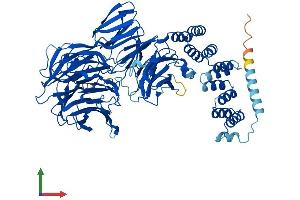 AlphaFold protein structure predicition of Mouse Recombinant Ift80 Protein, UniprotID Q8K057
