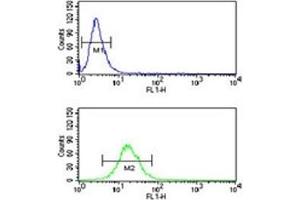 NEDD4 antibody flow cytometric analysis of NCI-H460 cells (green) compared to a negative control (blue).