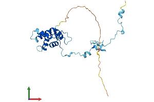 AlphaFold protein structure predicition of Human Recombinant TPPP Protein, UniprotID O94811