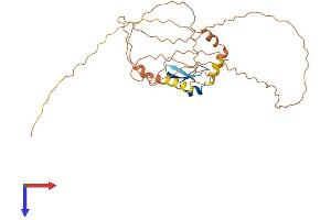AlphaFold protein structure predicition of Human Recombinant CPXCR1 Protein, UniprotID Q8N123