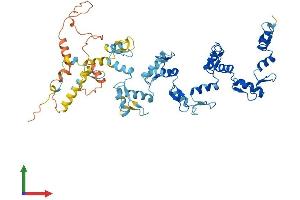 AlphaFold protein structure predicition of Human Recombinant ZNF20 Protein, UniprotID P17024