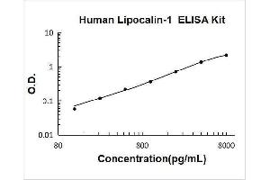 Lipocalin 1 (LCN1) ELISA Kit