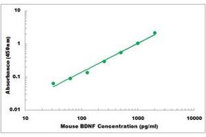 Representative Standard Curve (BDNF Kit ELISA)