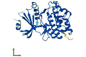 AlphaFold protein structure predicition of Human Recombinant TSSK6 Protein, UniprotID Q9BXA6