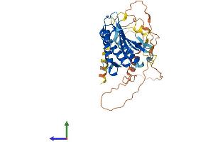 AlphaFold protein structure predicition of Mouse Recombinant Hormad1 Protein, UniprotID Q9D5T7