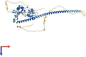 AlphaFold protein structure predicition of Human Recombinant NONO Protein, UniprotID Q15233