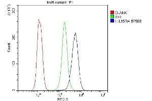 Flow Cytometry analysis of K562 cells using anti-IL15RA antibody (ABIN5519011).