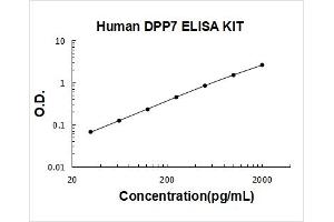Dipeptidyl-Peptidase 7 (DPP7) ELISA Kit