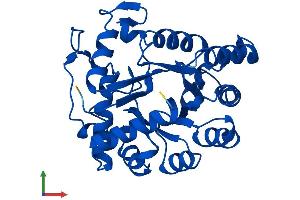 AlphaFold protein structure predicition of Human Recombinant TATDN1 Protein, UniprotID Q6P1N9