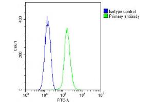 Overlay histogram showing C2C12 cells stained with (ABIN6242190 and ABIN6578880)(green line).