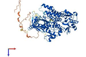 AlphaFold protein structure predicition of Mouse Recombinant Mtmr6 Protein, UniprotID Q8VE11