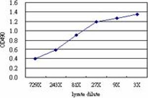 DUT (Human) Matched Antibody Pair