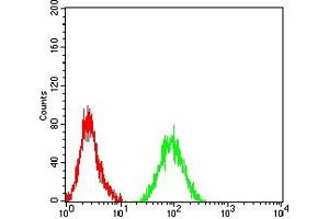 anti-Interleukin 4 Receptor (IL4R) (AA 26-232) antibody