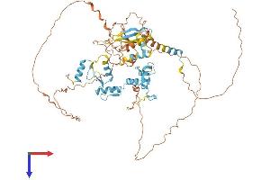 AlphaFold protein structure predicition of Human Recombinant ZNF653 Protein, UniprotID Q96CK0