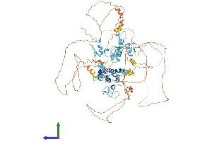 AlphaFold protein structure predicition of Mouse Recombinant Bnc1 Protein, UniprotID O35914