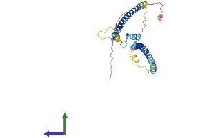 AlphaFold protein structure predicition of Human Recombinant TNNT1 Protein, UniprotID P13805