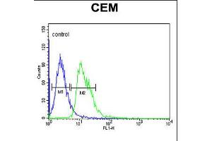 Flow cytometric analysis of CEM cells (right histogram) compared to a negative control cell (left histogram). (DIAPH2 anticorps  (AA 870-899))