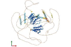 AlphaFold protein structure predicition of Human Recombinant BRDT Protein, UniprotID Q58F21