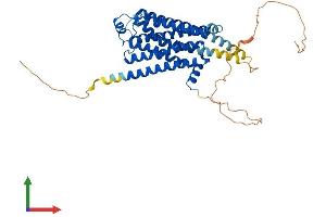 AlphaFold protein structure predicition of Mouse Recombinant Adrb2 Protein, UniprotID P18762