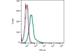 Cell surface detection of Robo1 by direct flow cytometry in live intact mouse J774 macrophage cell line: + Rabbit IgG Isotype Control-FITC (ABIN7582044).