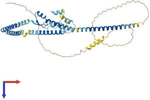 AlphaFold protein structure predicition of Mouse Recombinant Luc7l3 Protein, UniprotID Q5SUF2