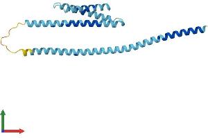 AlphaFold protein structure predicition of Mouse Recombinant Gosr2 Protein, UniprotID O35166