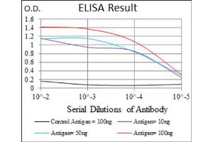 Red: Control Antigen (100ng) ; Purple: Antigen (10ng) ; Green: Antigen (50ng) ; Blue: Antigen (100ng). (CD166 anticorps  (AA 48-216))