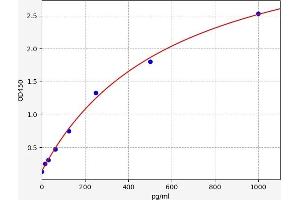 Typical standard curve (Klotho beta Kit ELISA)