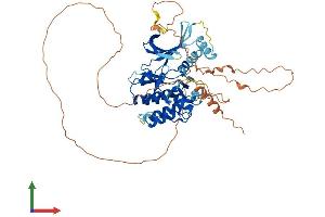 AlphaFold protein structure predicition of Mouse Recombinant Stk35 Protein, UniprotID Q80ZW0